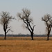 Jennifer Oaks Photo 33