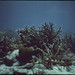 John Few Photo 9