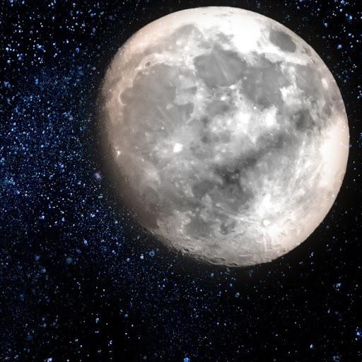 Chris Moon Photo 32