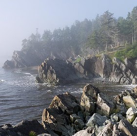 Michael Layman Photo 35