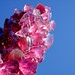Crystal Tower Photo 7