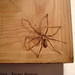 Rachel Moseley Photo 11