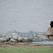 Regina Stork Photo 6
