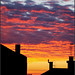 Dawn Poe Photo 16