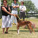 Lois Snyder Photo 20