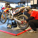 Daniel Mccoy Photo 37