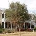 J Harris Photo 18