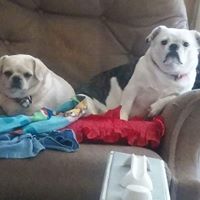Debra Gross Photo 25