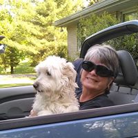 Debbie Sorrells Photo 8