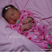 Lynda Newman Photo 12
