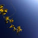 Philip Vines Photo 4