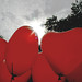 Rebecca Ehret Photo 7