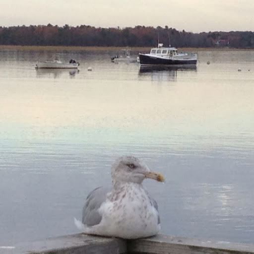 Brittany Bailey Photo 5