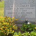 Harry Montgomery Photo 25