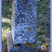 Elizabeth Whiting Photo 30
