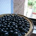 Stacey Lemons Photo 7