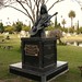 Johnny Williams Photo 20