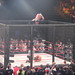 Matt Morgan Photo 9