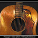 Martha Griffith Photo 16