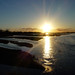 Dawn Rowe Photo 16