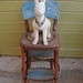 Pat Hopper Photo 22