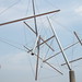 Kenneth Land Photo 10