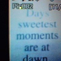 Dawn Steward Photo 18