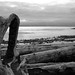 Garry Moody Photo 9