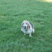 Thomas Stoll Photo 20