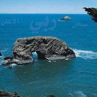 Mohammad Sadiq Photo 44