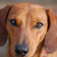 Kathy Pursell Photo 6