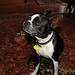 Patrick Krull Photo 9