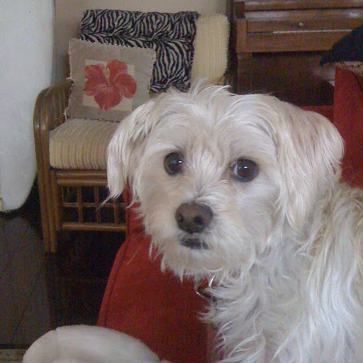 Amy Steinberg Photo 38