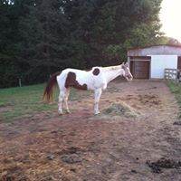 Heather Bahr Photo 6