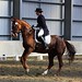 Carolyn Hansen Photo 15