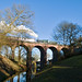 Daniel Mills Photo 14
