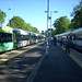 Preston May Photo 21