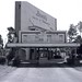 Beverly Forrest Photo 16