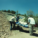 Randall Reeves Photo 24