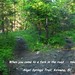 Angel Springs Photo 16