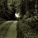 Sandy Lane Photo 32