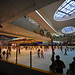 Rink Skating Photo 17