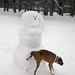 Jackie Olmstead Photo 14