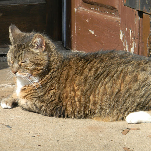 Candy Tuttle Photo 7