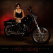 Shelly Davidson Photo 31