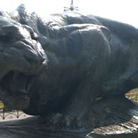 John Gonsalves Photo 10