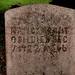 Nancy Gould Photo 15