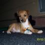Anita Rowe Photo 35