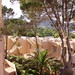 Joan Nieves Photo 17