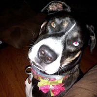 Kimberly Yancey Photo 27